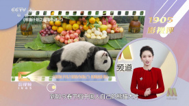 欧美成人午夜视频免看